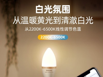 飞利浦调光尖泡