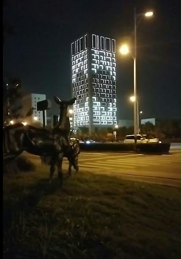 6f5f2b5f04524a88ae36631293eaf1d3